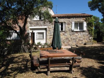 Early east view of house and pool
