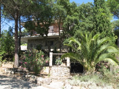deep well below house