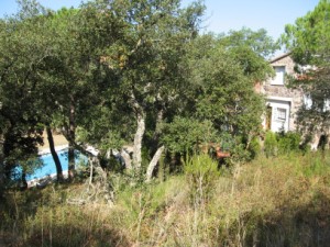Early east view of house and pool