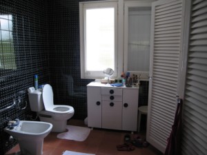 top bathroom with toilets